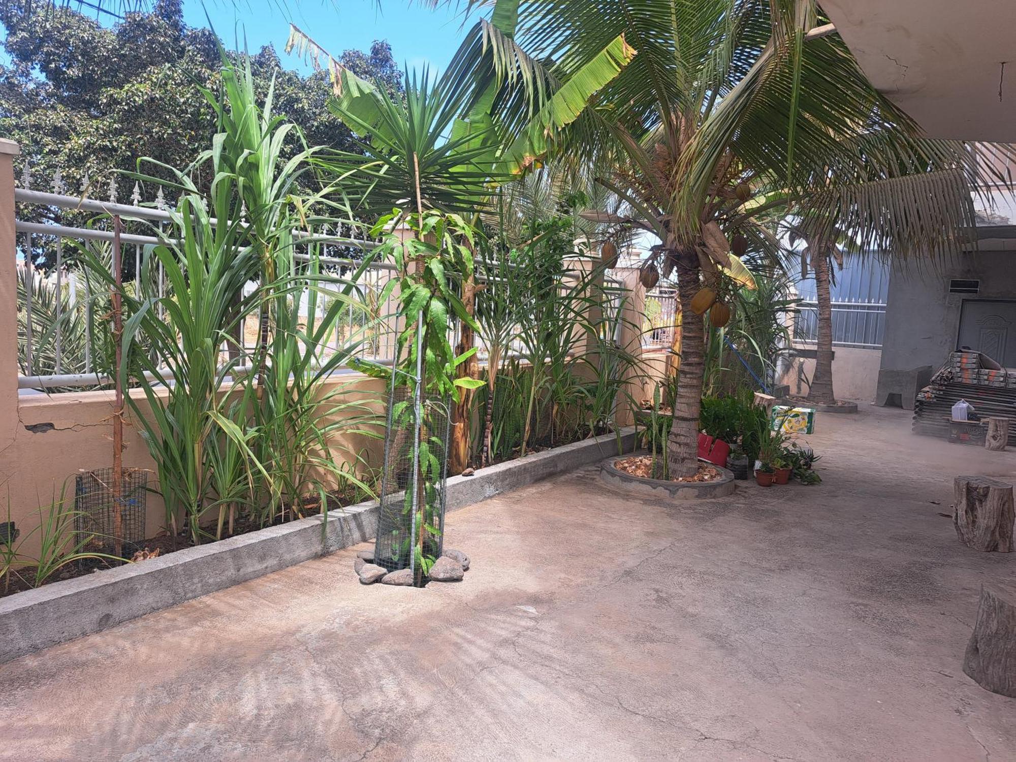 Barros Homestay Tarrafal  Exteriör bild
