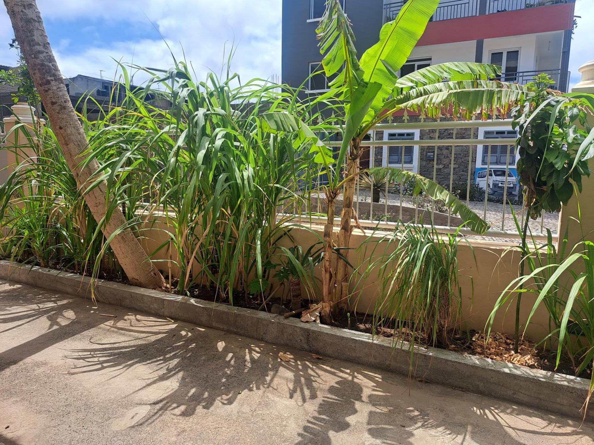 Barros Homestay Tarrafal  Exteriör bild